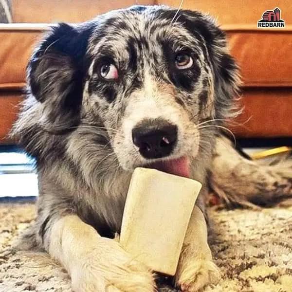 Redbarn Pet Products Filled Bone Natural Cheese & Bacon Dog Treat Redbarn