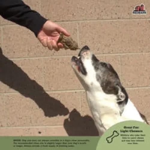 Redbarn Pet Products Hydrant Dog Dental Treat Redbarn