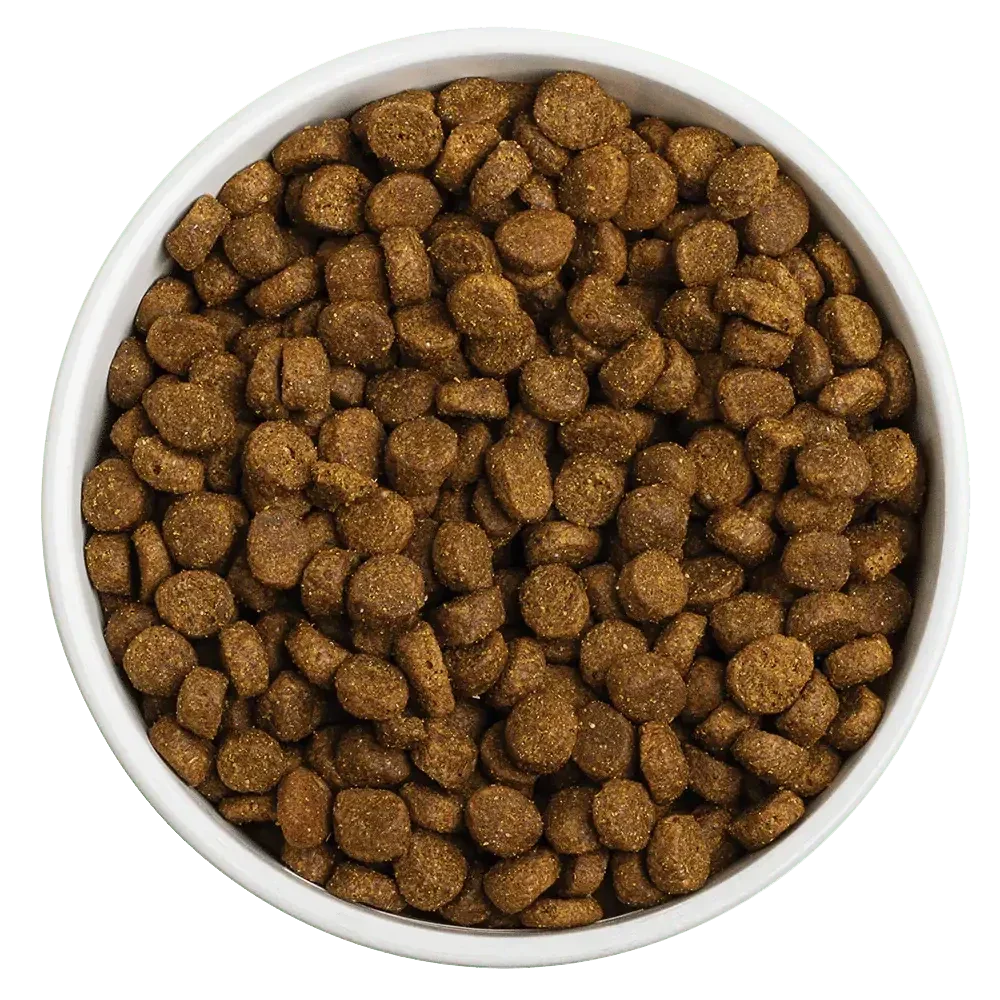 Redbarn Pet Products Whole Grain Land Recipe Dog Food Redbarn