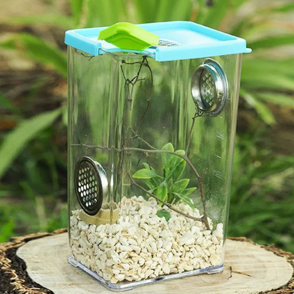 Reptile Breeding Box Clear Acrylic Reptile Feeding Insect Reptile Cage Terrarium Talis Us