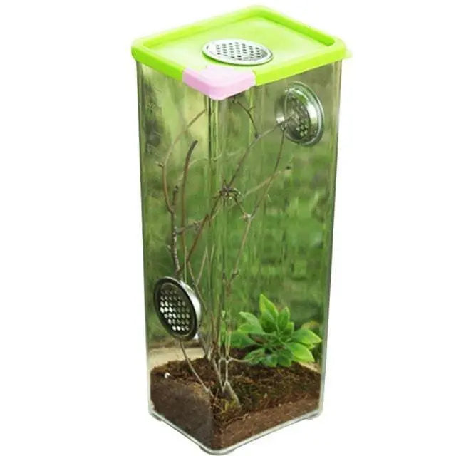 Reptile Breeding Box Clear Acrylic Reptile Feeding Insect Reptile Cage Terrarium Talis Us