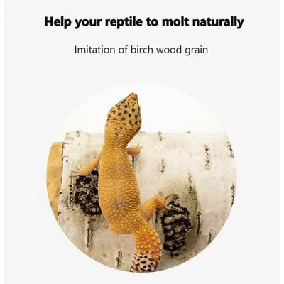 Reptile Habitat Resin Ornament Hideout Cave Bark Bend Leopard Gecko Spider Snake Turtle Talis Us