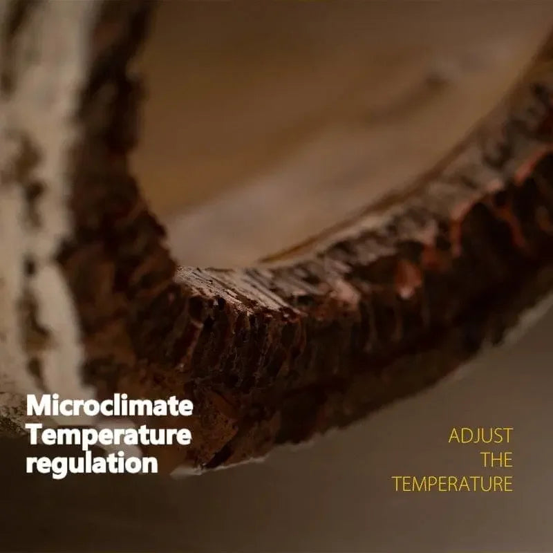 Reptile Habitat Resin Ornament Hideout Cave Bark Bend Leopard Gecko Spider Snake Turtle Talis Us