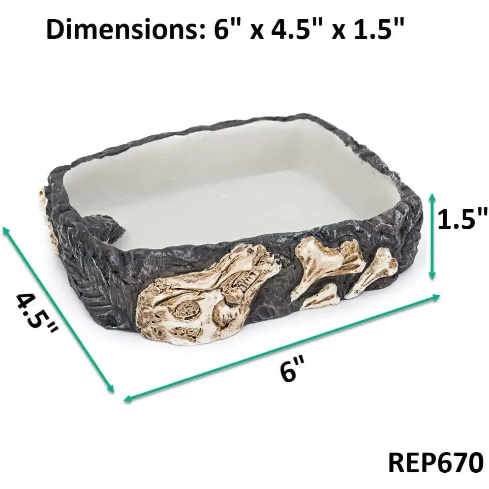 Reptology Reptile Fossil Rock Food/Water Dish Reptology