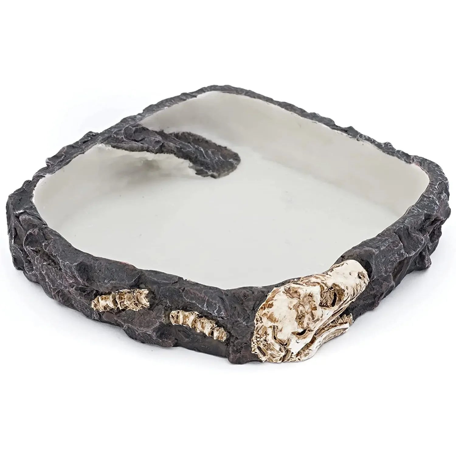 Reptology Reptile Fossil Rock Food/Water Dish Reptology