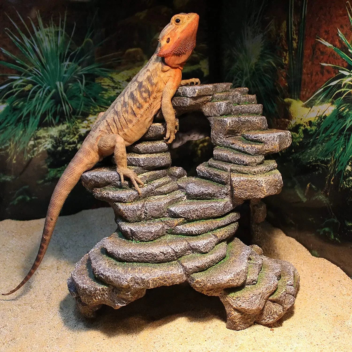 Reptology Shale Scape Step Ledge & Cave Hideout Decorative Resin for Aquariums & Terrariums Reptology