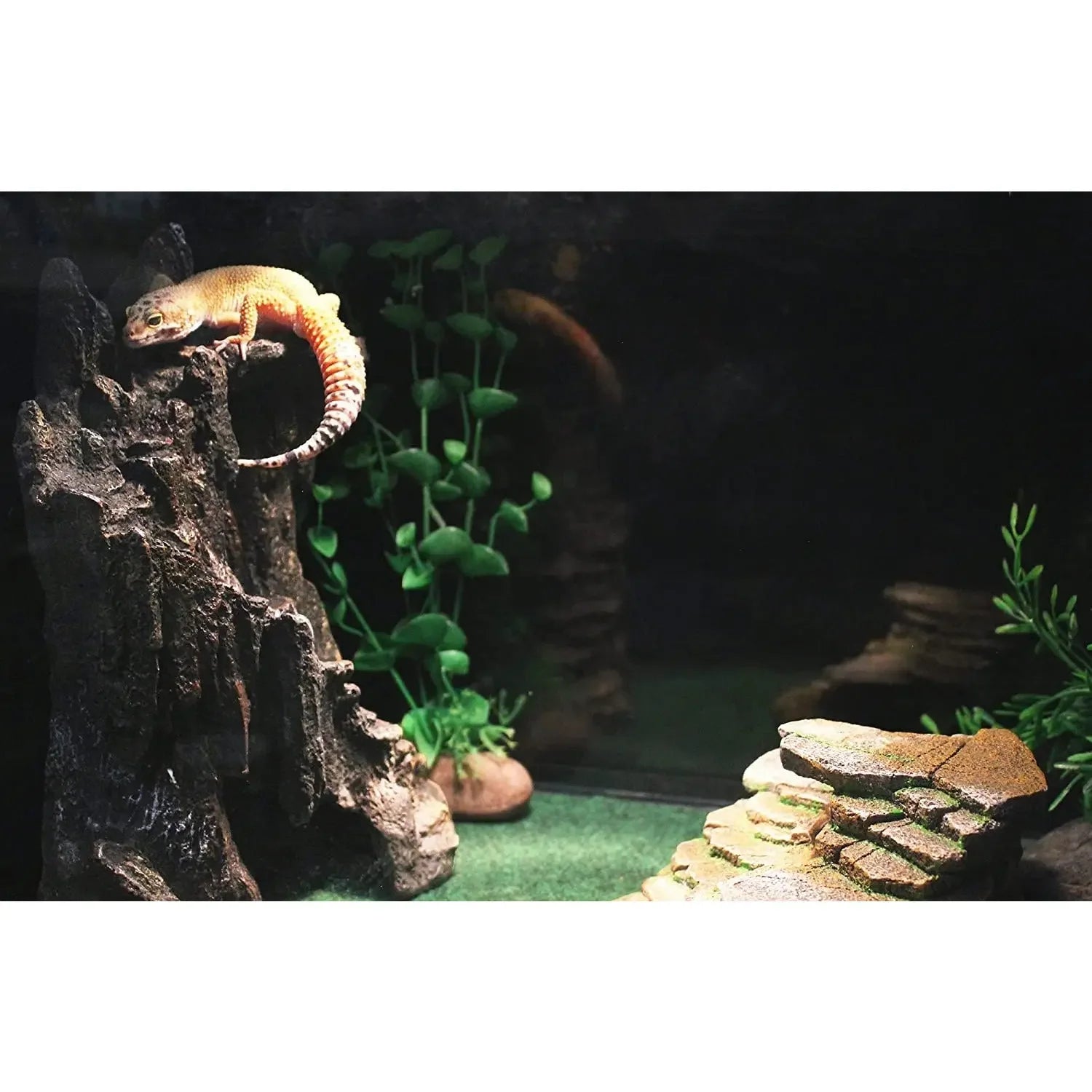 Reptology Shale Step Ledge for Aquariums & Terrariums Reptology