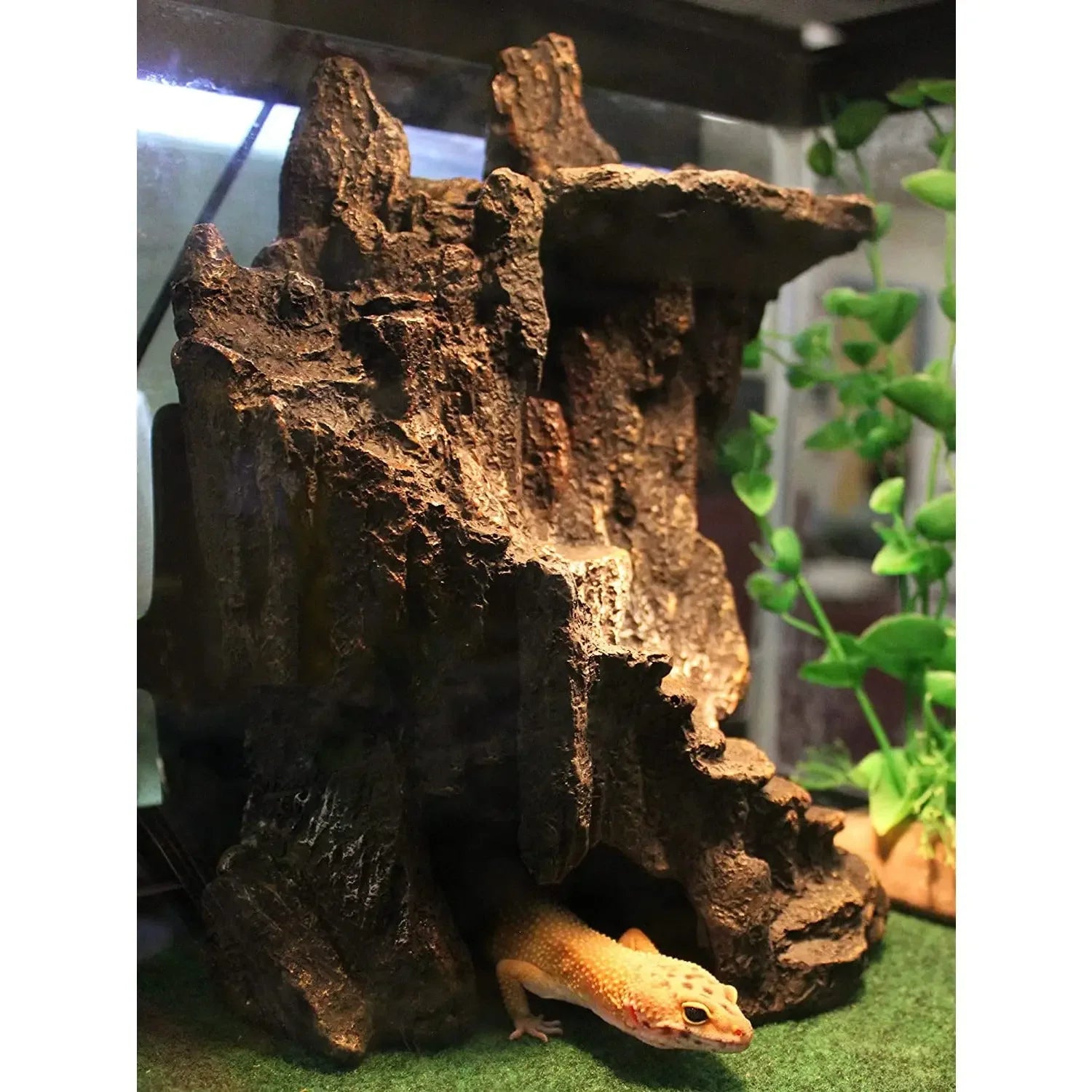 Reptology Shale Step Ledge for Aquariums & Terrariums Reptology