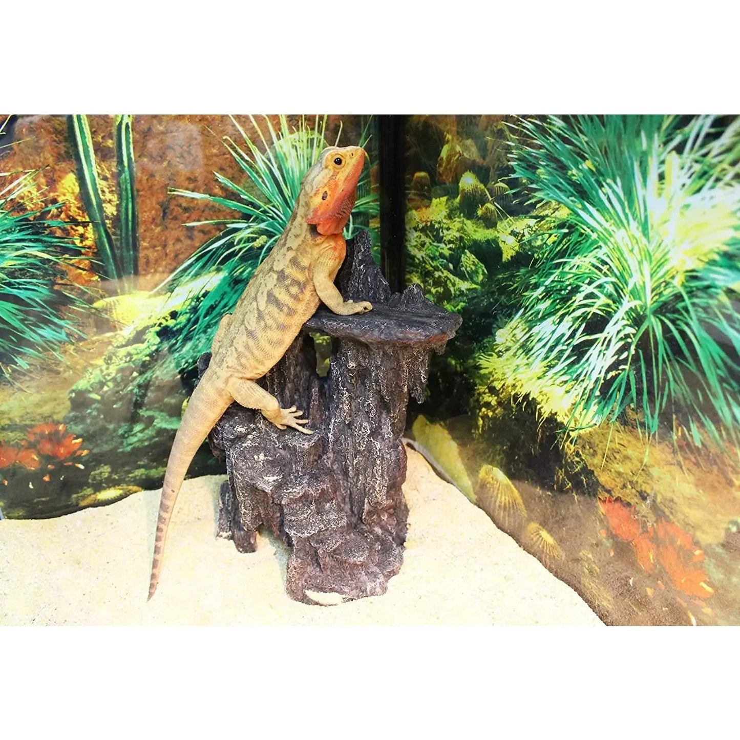 Reptology Shale Step Ledge for Aquariums & Terrariums Reptology