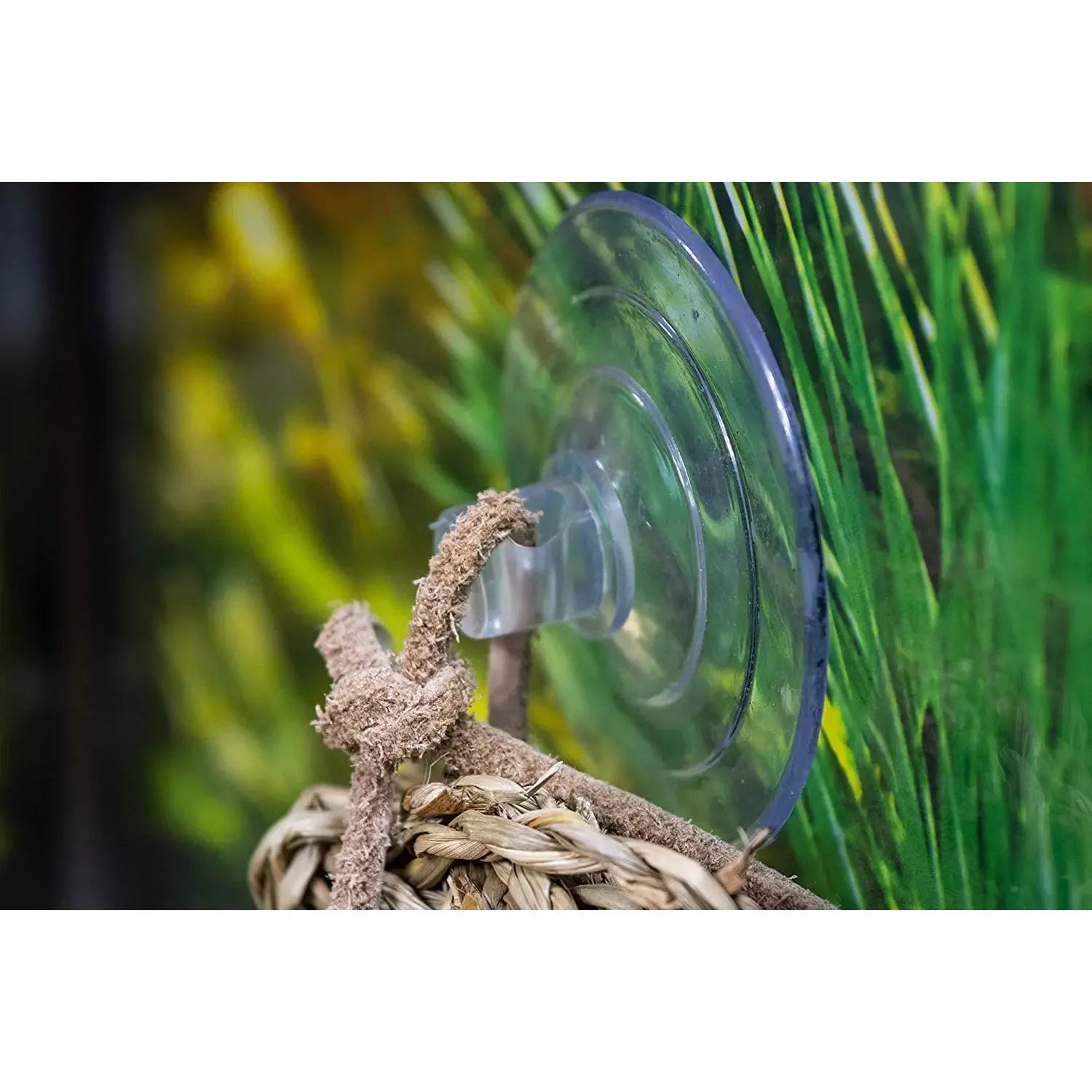 Reptology Skull Hide-Away Habitat Décor Reptology