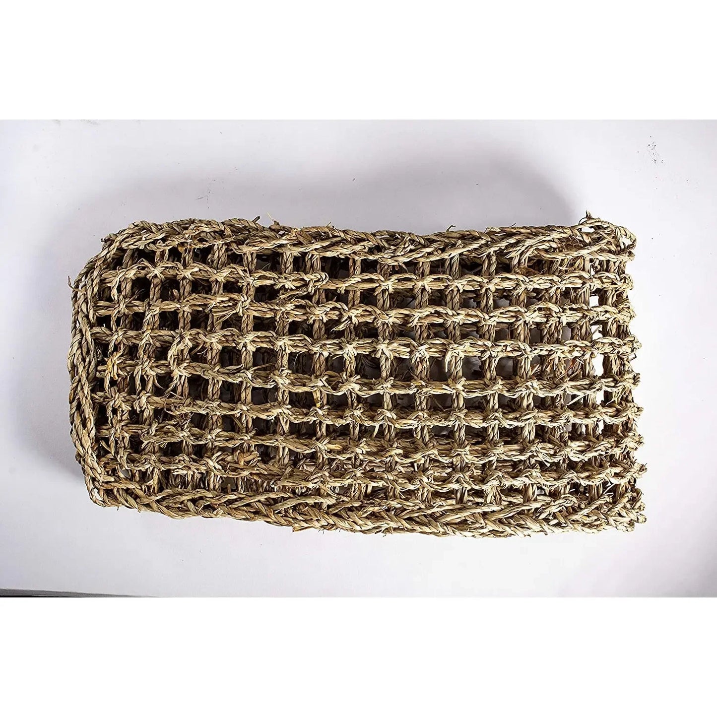 Reptology Skull Hide-Away Habitat Décor Reptology