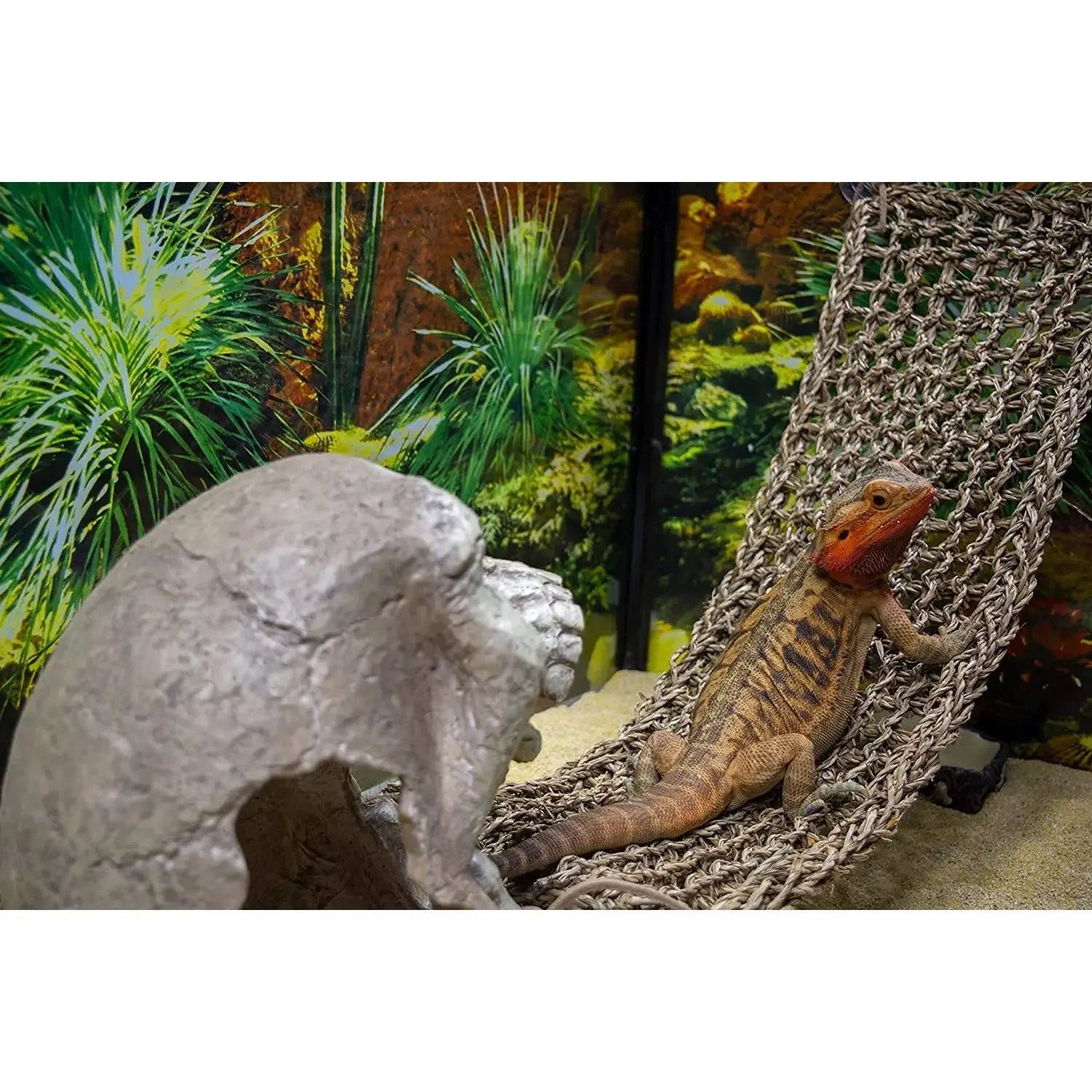 Reptology Skull Hide-Away Habitat Décor Reptology