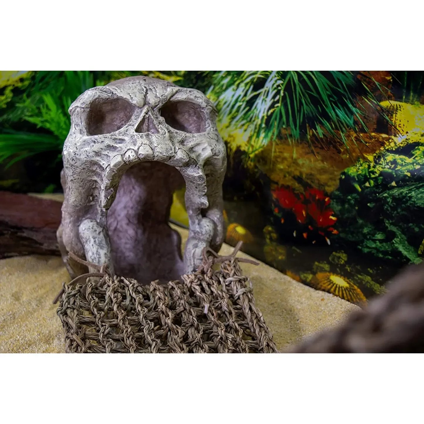 Reptology Skull Hide-Away Habitat Décor Reptology