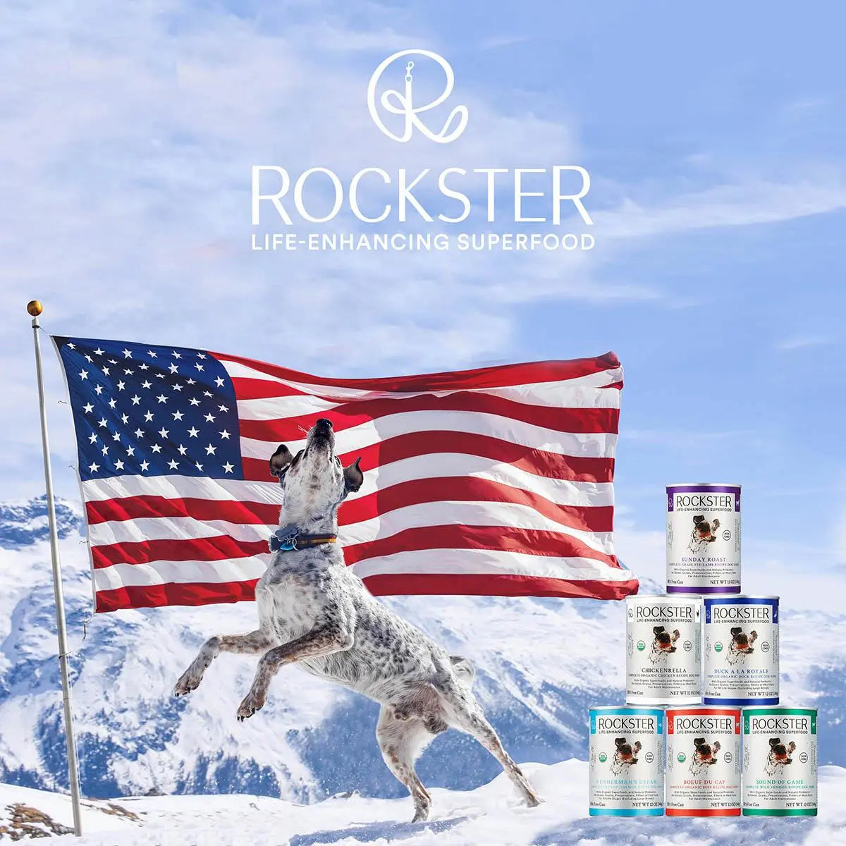 Rockster Boef Du Cap Beef Organic Wet Dog Food Rockster