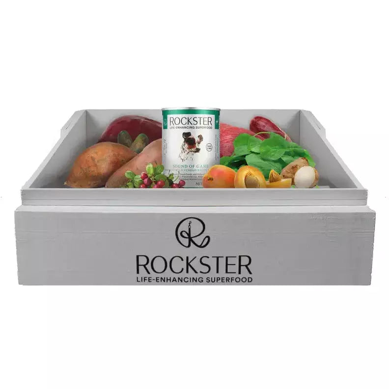 Rockster Chickenrella Organic Chicken Wet Dog Food Rockster