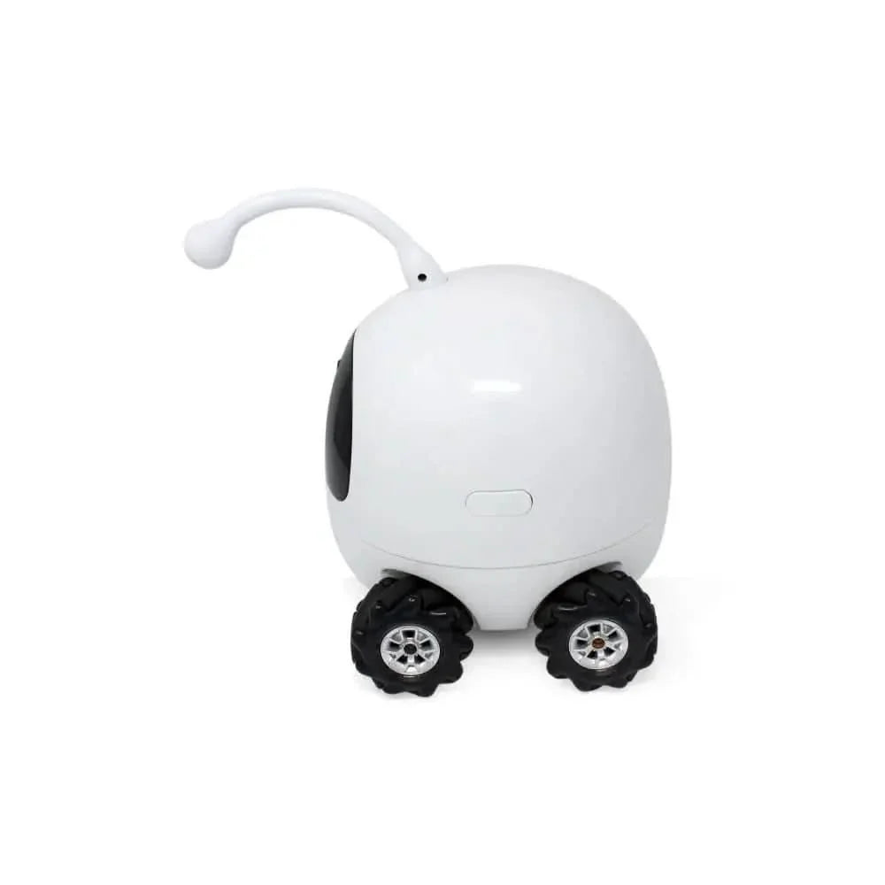 Rocky Pets Robot Smart Pet Camera Dog Treat Dispenser Laser Teasing Talis Us