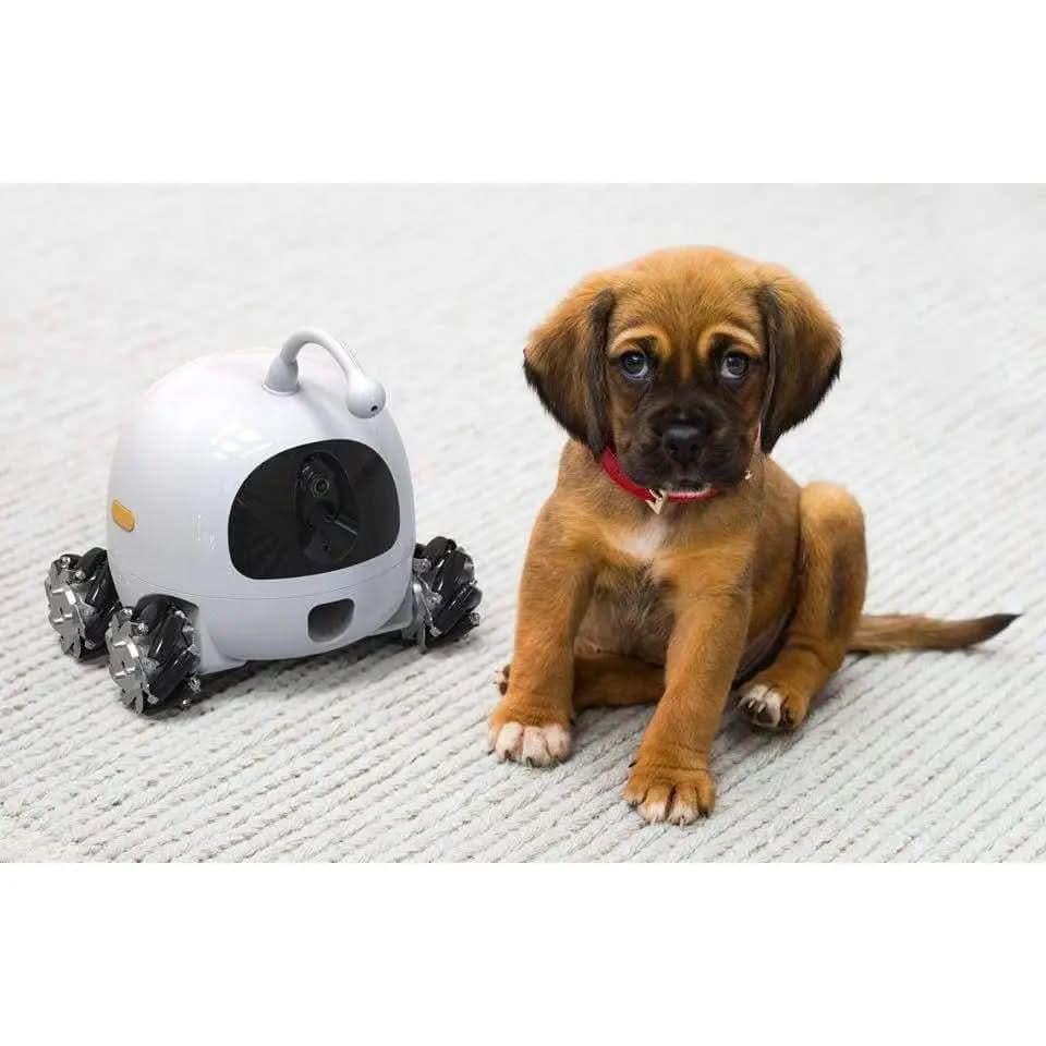 Rocky Pets Robot Smart Pet Camera Dog Treat Dispenser Laser Teasing Talis Us
