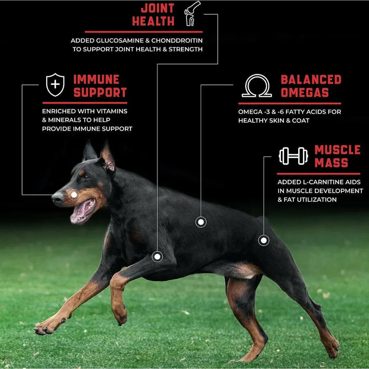 SPORTMIX CanineX Grain Free Performance Nutrition Dry Dog Food Sportmix