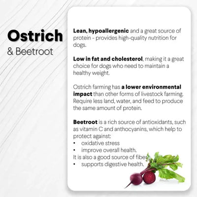 Savannah Pet Food Hypoallergenic Ostrich Chip Dog Treats with Immune Boosting Beetroot 2.5oz Savannah Pet Food