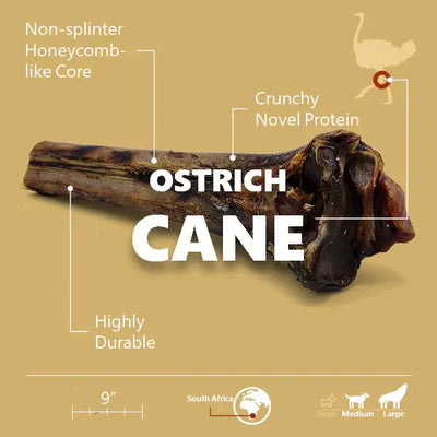Savannah Splinter-Free Ostrich Cane. Long-lasting, Natural Dog Gnaw Treat Savannah Pet Food