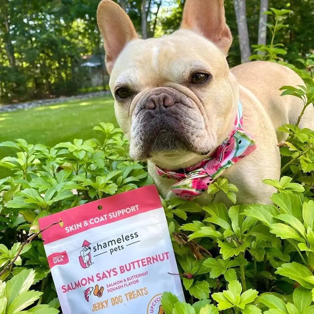 Shameless Pets Jerky Bite Dog Treats 5 oz Shameless Pets