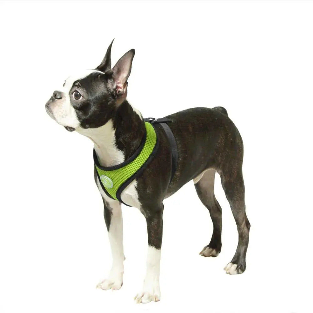 Soft Mesh Harness Gooby WP