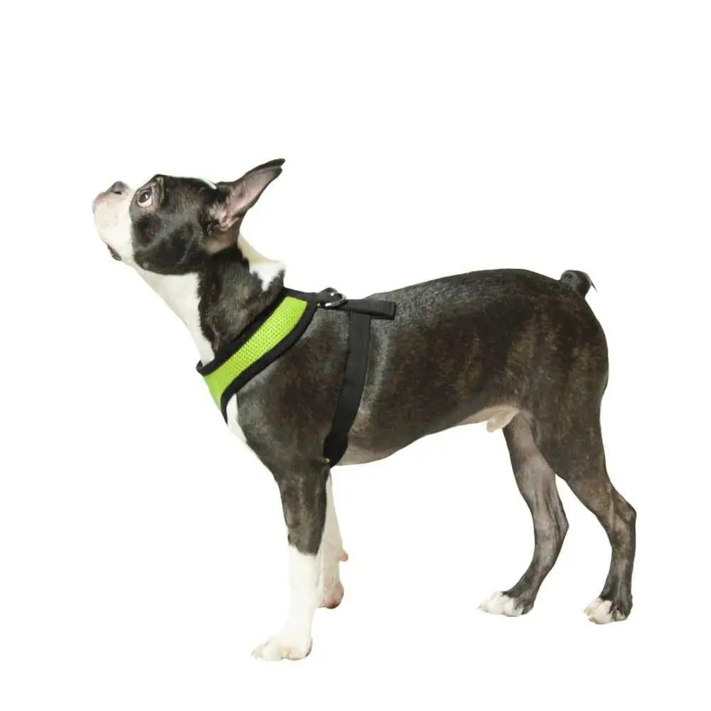 Soft Mesh Harness Gooby WP