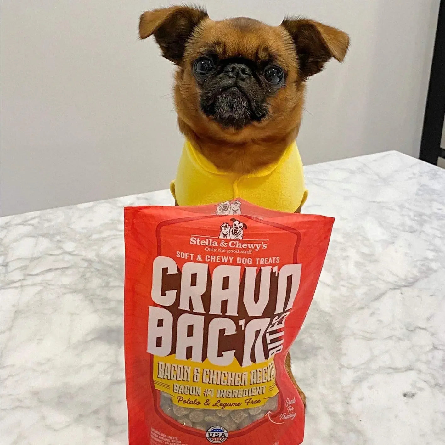Stella & Chewys Dog Crav'N Bacon Bites Pork 8.25Oz Stella & Chewy's