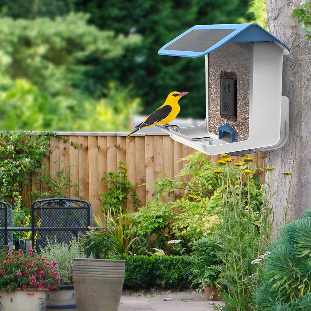 Talis Smart Bird Feeders with Camera Outdoor Wild Bird Feeder Talis Us Bird