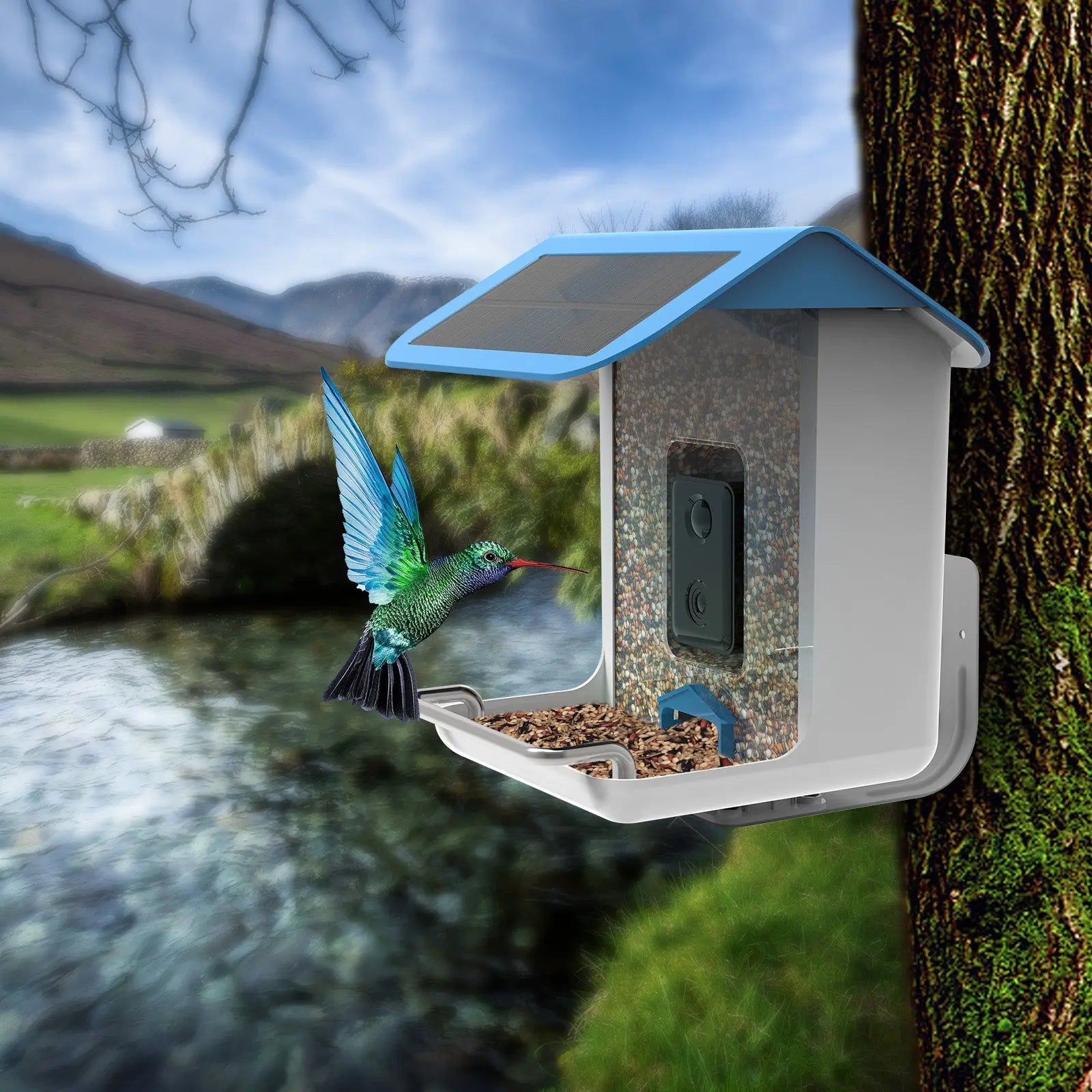 Talis Smart Bird Feeders with Camera Outdoor Wild Bird Feeder Talis Us Bird