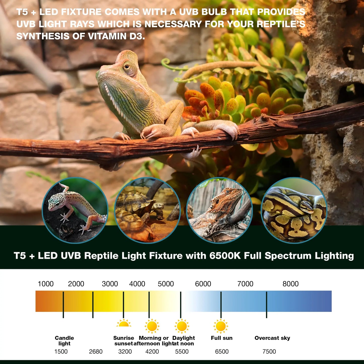 Talis-us Double Fixture with Arcadia Bulb and LED Bar HO T5 UVB Reptiles Aquarium Light Arboreal Terrarium Hood Talis Us