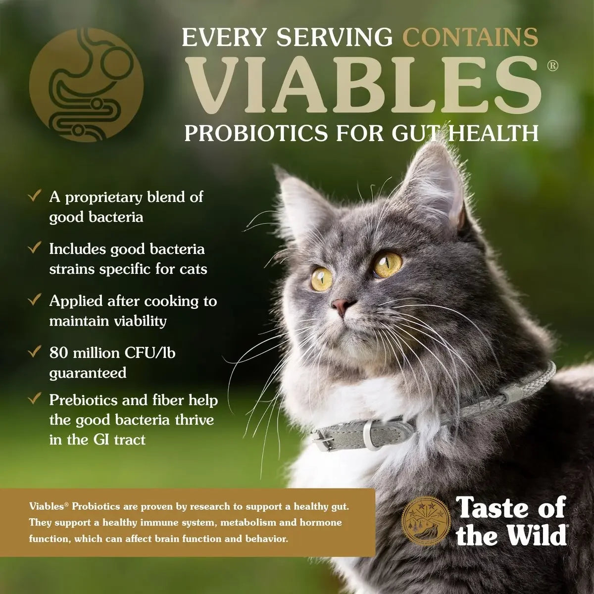 Taste of the Wild® Canyon River® Grain Free Feline With Trout & Smoked Salmon Recipe Cat Food Taste of the Wild®
