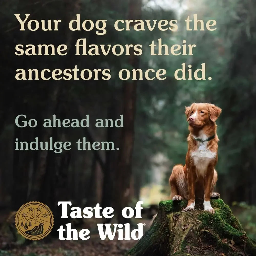 Taste of the Wild® High Prairie® Bison In Gravy Canine Formula 13.2 Oz Taste of the Wild®