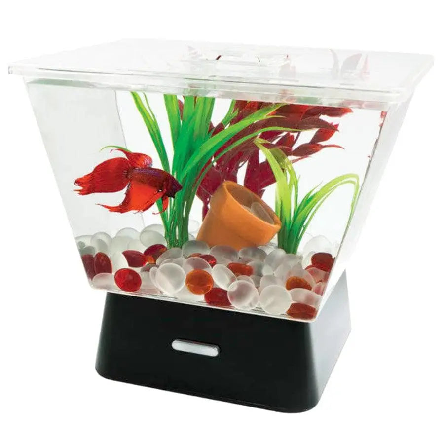 Buy Aquariums  Aquarium Accessories for Fish – Talis Us