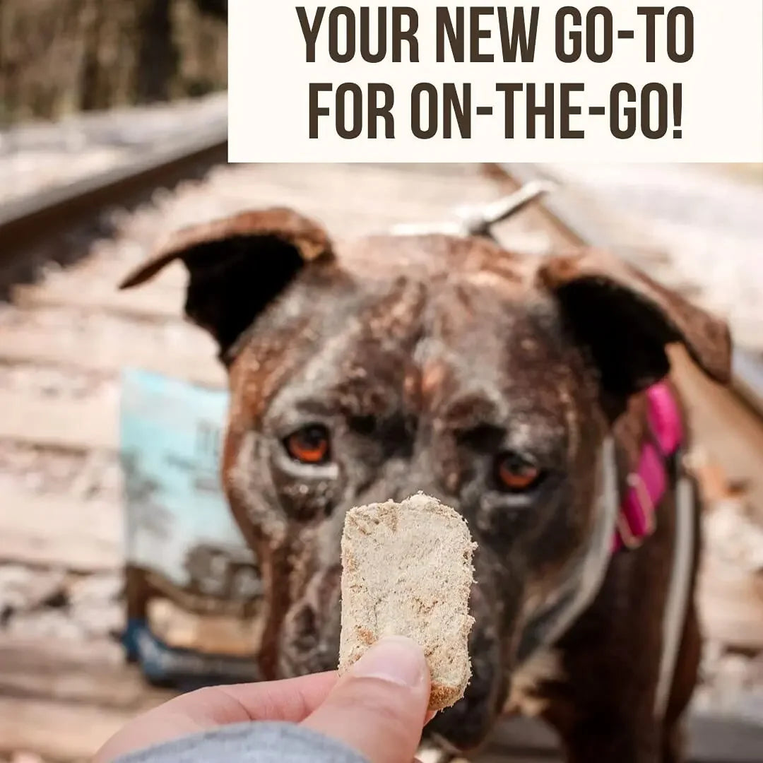 Tucker's® Pork-Bison-Pumpkin Formula Freeze-Dried Dog Food, 14 Oz Tucker's