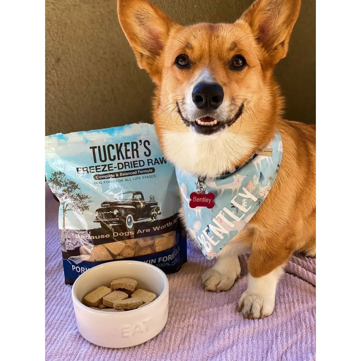 Tucker's® Pork-Bison-Pumpkin Formula Freeze-Dried Dog Food, 14 Oz Tucker's
