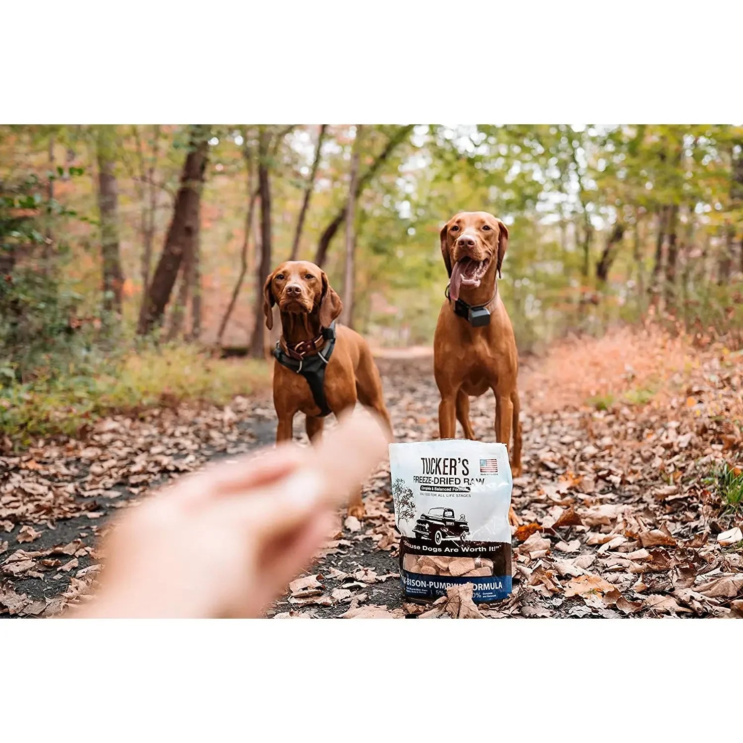 Tucker's® Pork-Bison-Pumpkin Formula Freeze-Dried Dog Food, 14 Oz Tucker's