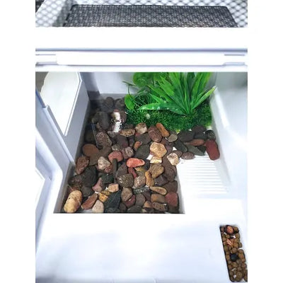 Turtle Vivarium Box Aquarium Tank with Plastic Cap for Reptiles and Amphibians HerpCult