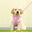 Vest Harness Air-Mesh with Matching Leash for Small Dogs Curli