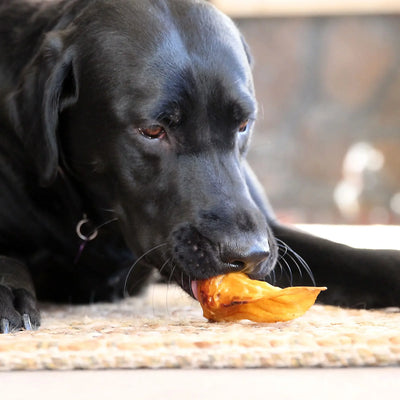 Wild Eats® New Zealand Natural Lamb Ears Wild Eats
