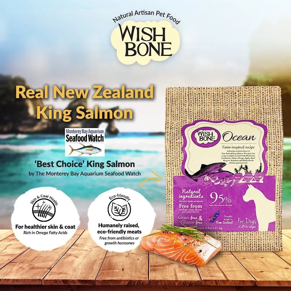 Wishbone Grain Free Ocean Real New Zealand Salmon Dry Dog Food Wishbone