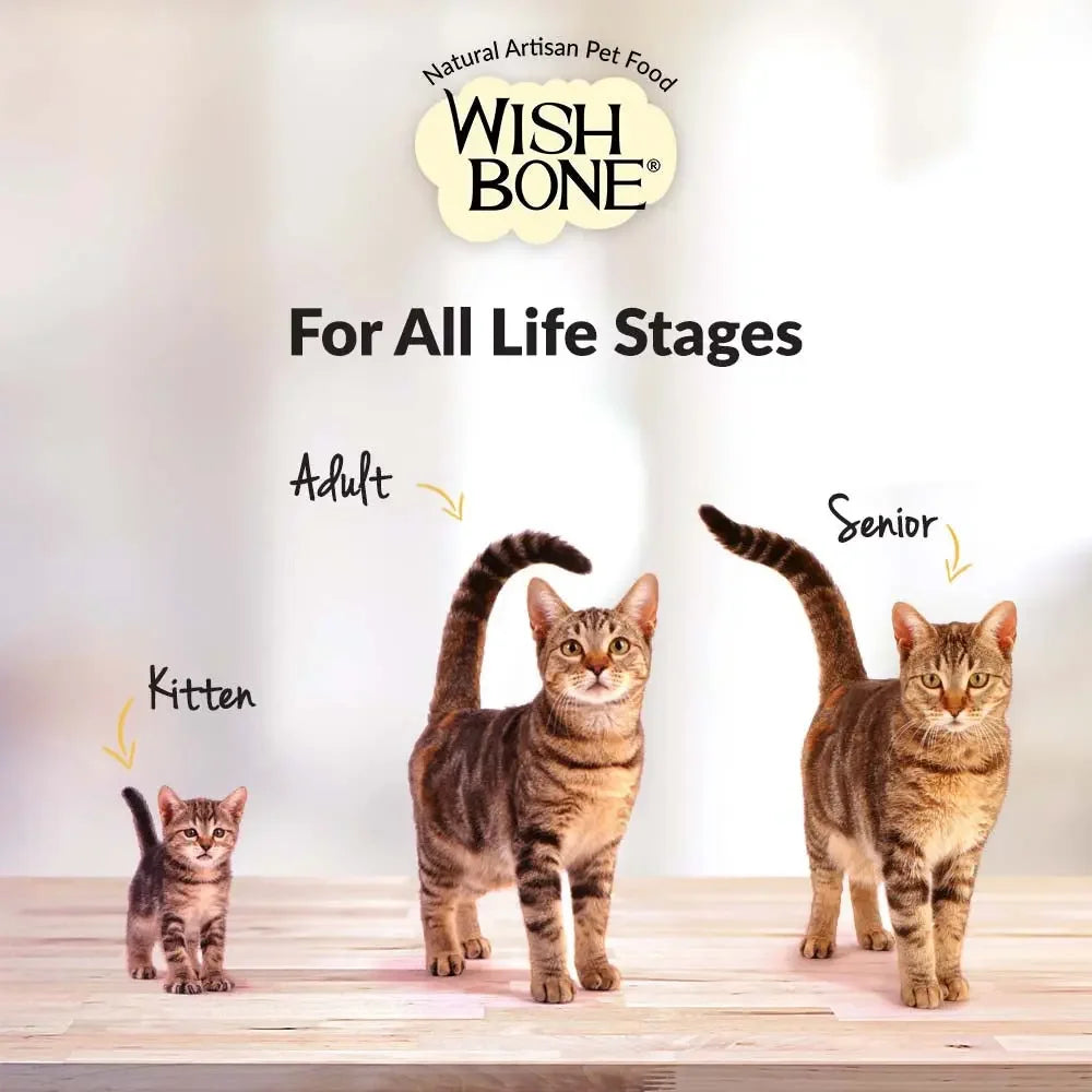 Wishbone Grain Free Pasture Grass-fed New Zealand Lamb Dry Cat Food Wishbone