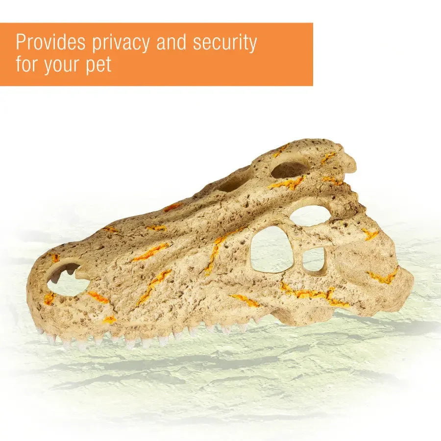 Zilla Crocodile Skull Rapid Sense Decor Reptile Supply Zilla