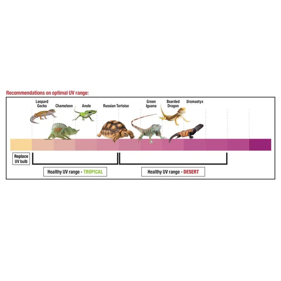 Zilla Rapid Poplar Log Sense Decor Reptile Supply Zilla