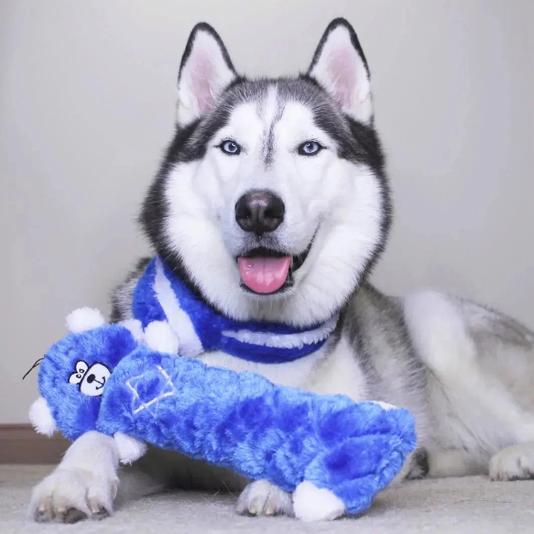 Zippy Paws Hanukkah Jigglerz Blue Bear Dog Toys Zippy Paws