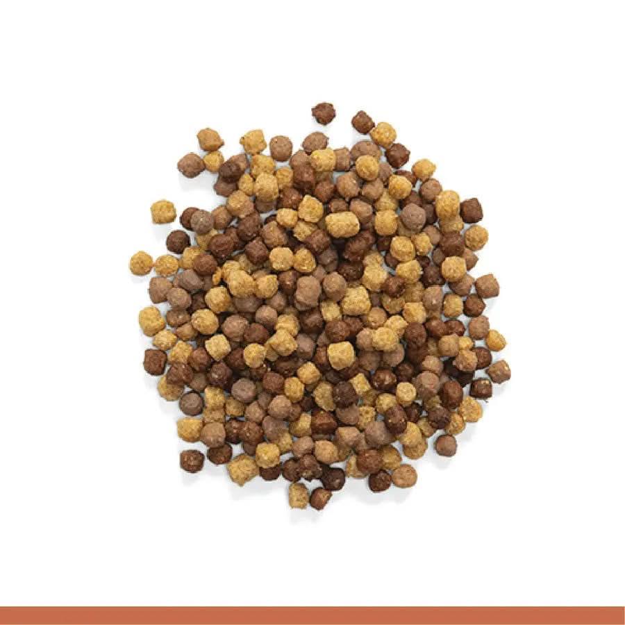 ZuPreem NutBlend with Natural Nut Flavor Pelleted Bird Food for Medium Birds 1ea/2 lb ZuPreem