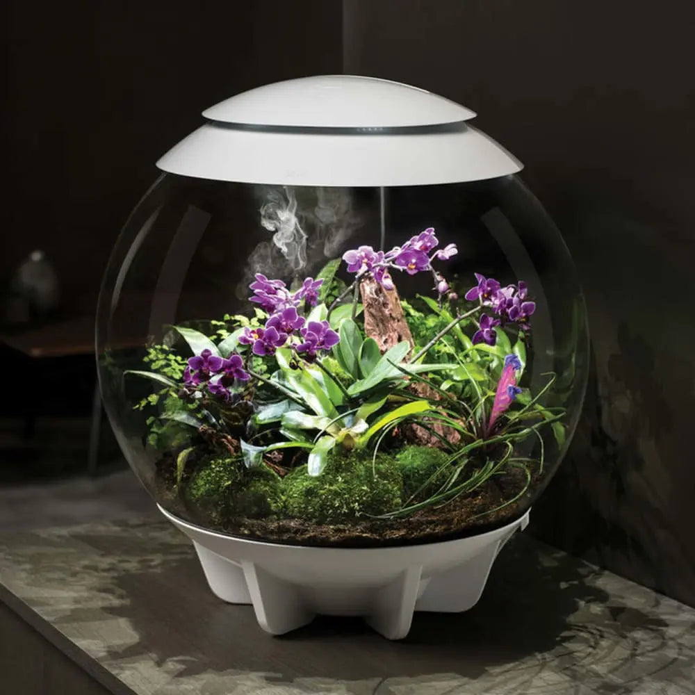 biOrb AIR LED Terrarium BiOrb