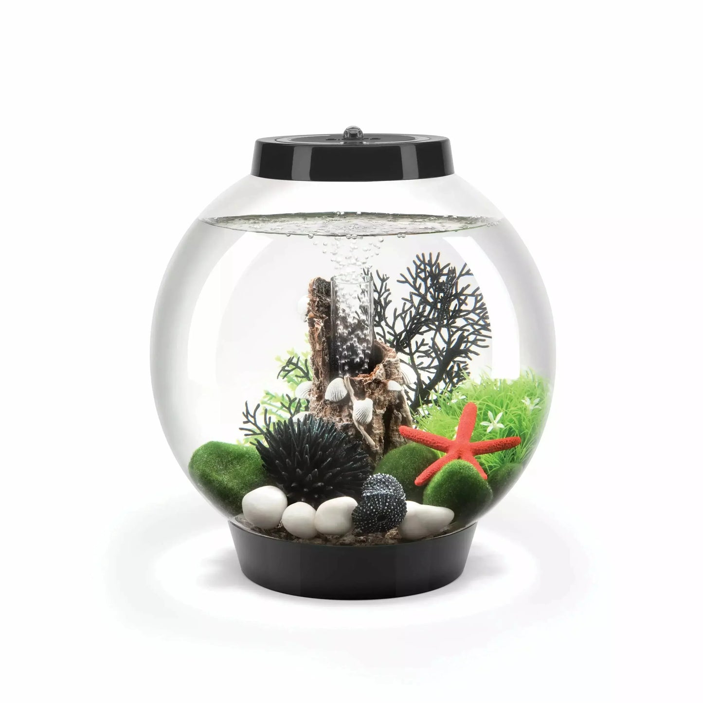 biOrb CLASSIC 15 Aquarium with MCR Light 4 gallon BiOrb