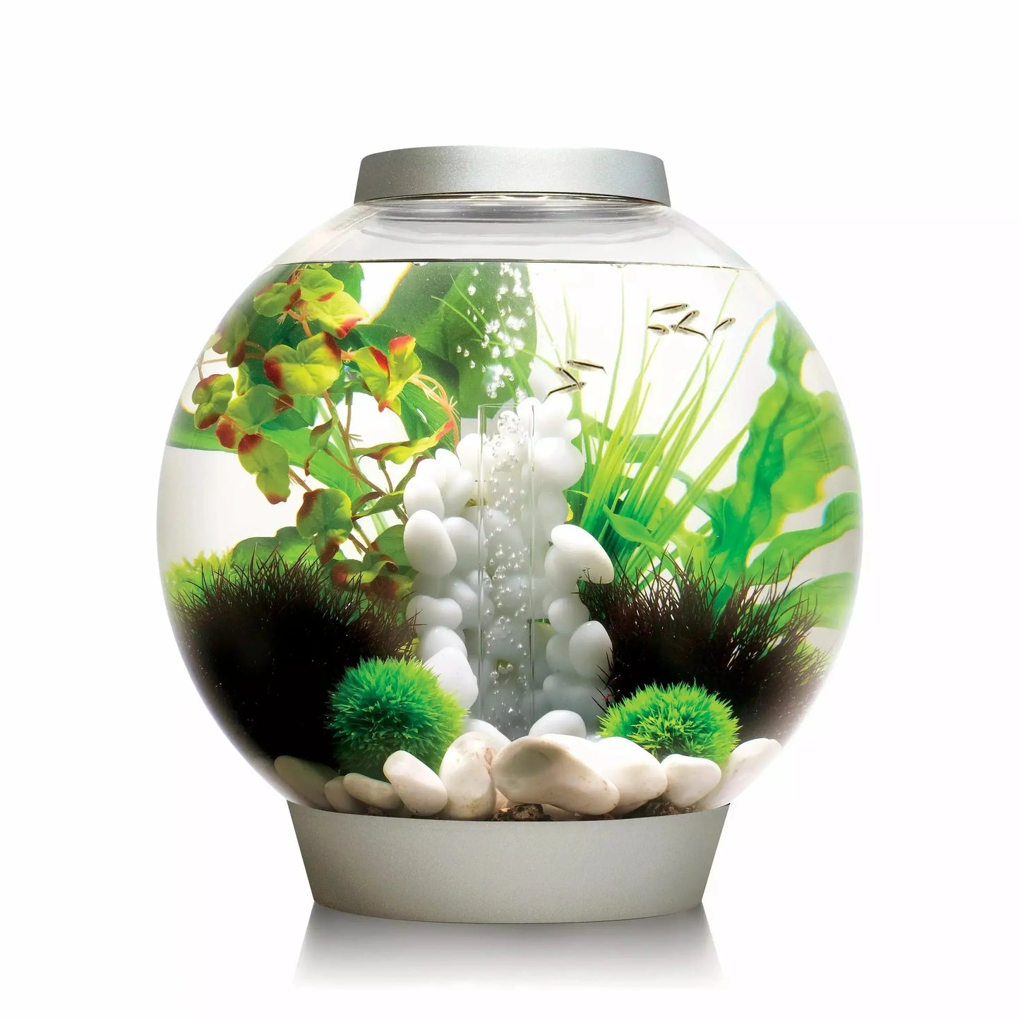 biOrb CLASSIC 30 Aquarium with Standard Light 8 gallon BiOrb