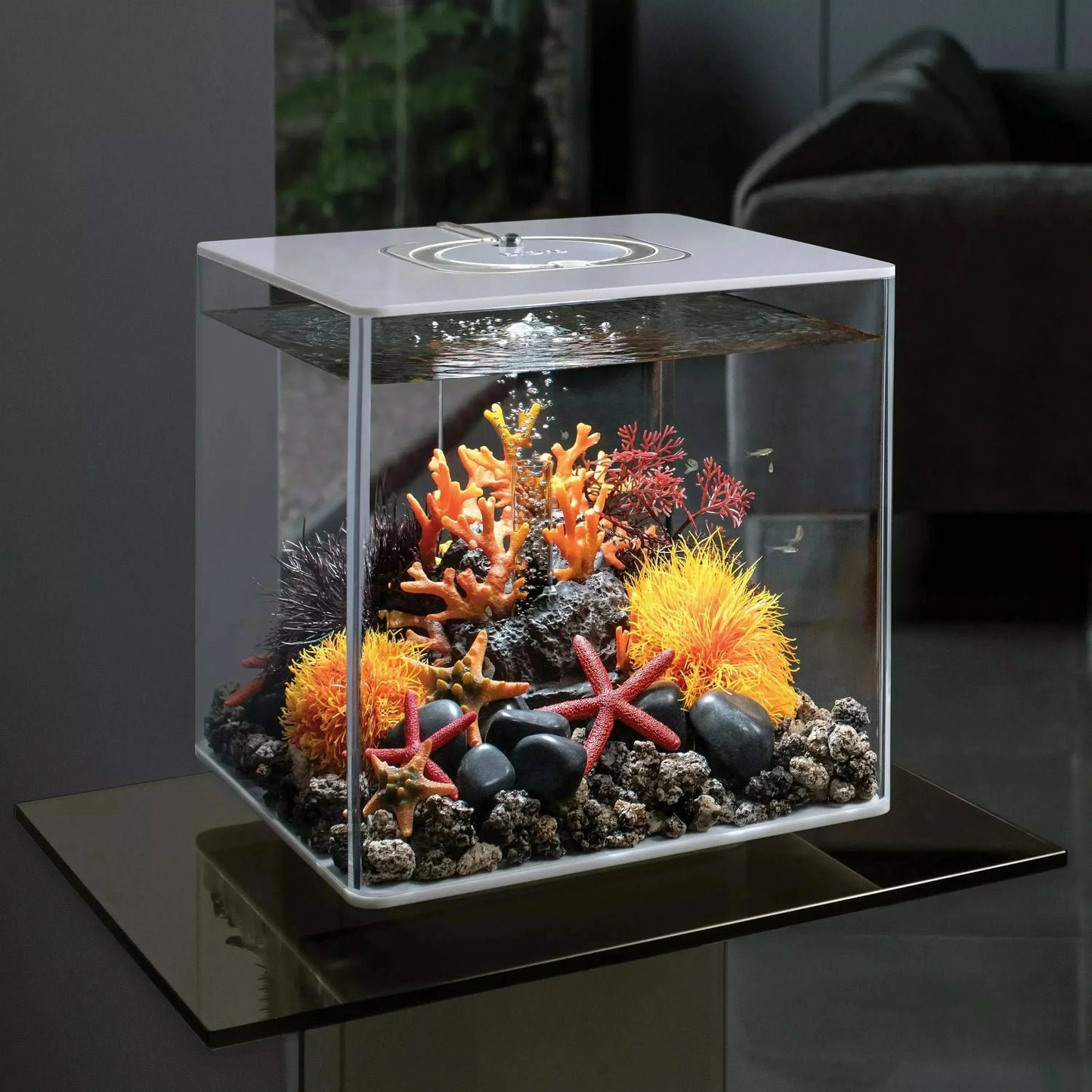 biOrb CUBE 30 Aquarium with MCR Light 8 gallon BiOrb CPD